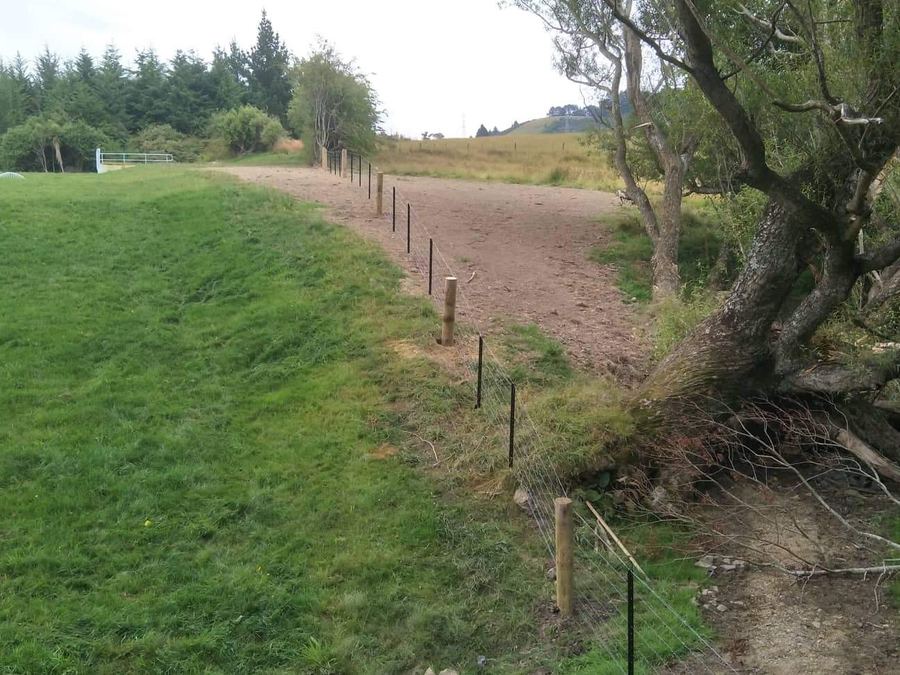 Post and wire fence line running along a shelterbelt on a lifestyle block