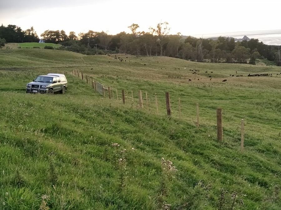 Farm fence line running across rolling paddocks with cattle grazing