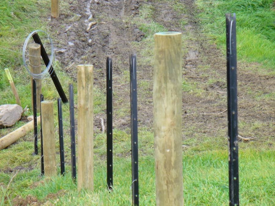 New timber strainer posts and steel waratahs set into a hillside fence line