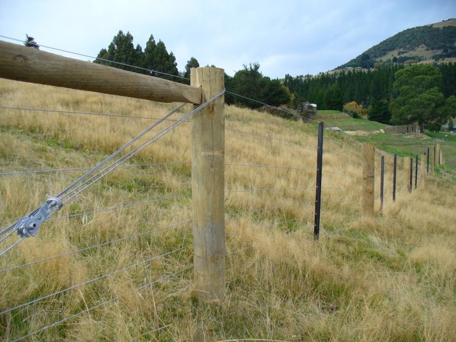 Post and wire farm fence with a strainer and stay assembly in tussock country
